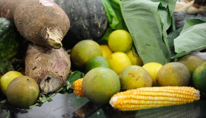 Agrotóxicos: 25% dos alimentos de origem vegetal no país têm resíduos